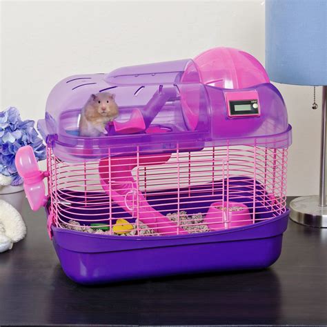 cute toys for hamsters